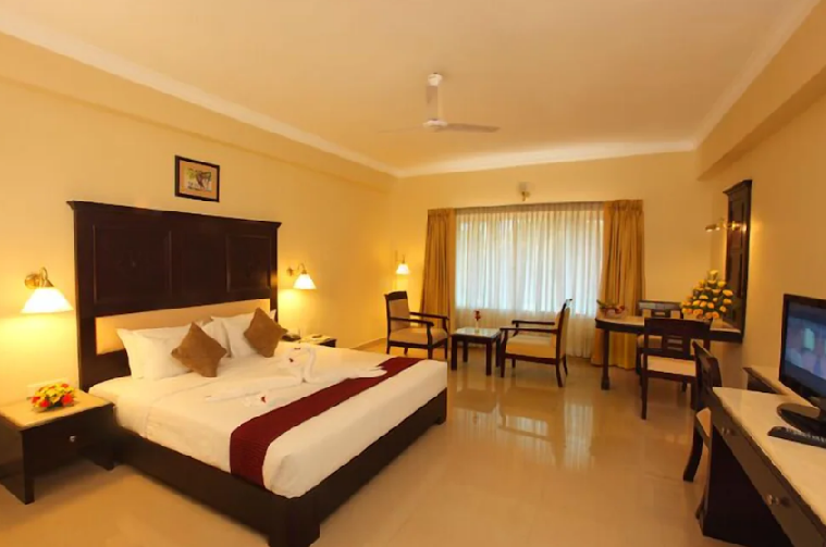 Hotel Airlink Castle | DELUXE ROOM